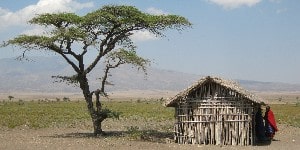 Lokal Masai ved sit hus i Tanzania