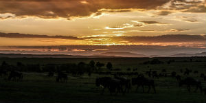 Flot solnedgang over NgoroNgoro nationalpark i Tanzania