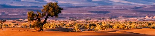 Klimaet i Afrika er varmt 