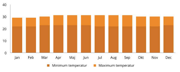 Rejsevejr på Borneo