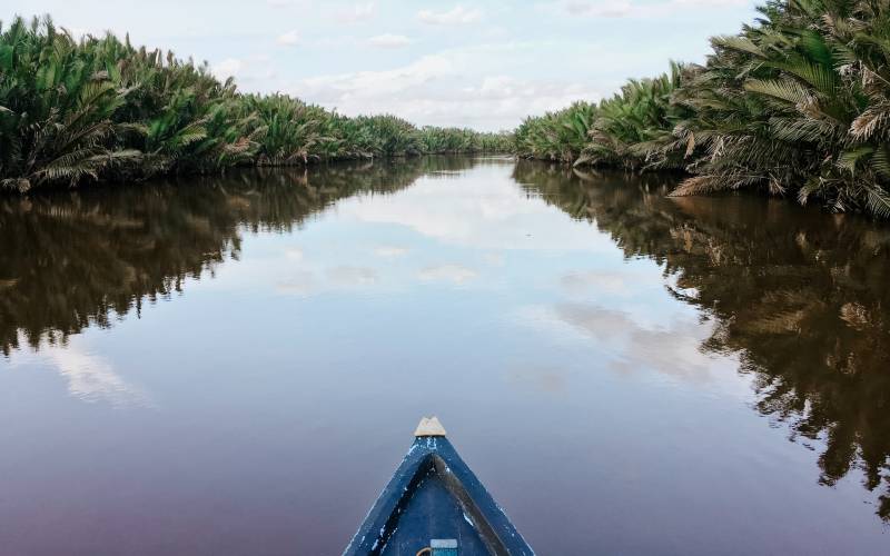 Vi skræddersyer din rundrejse til Borneo, så den passer til dig 