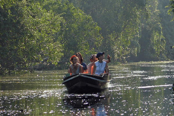 Sejltur på Sukau floden i Borneo med lokal guide