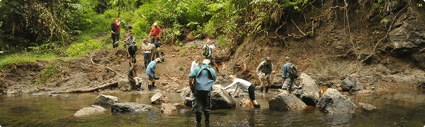 Hold på trekkingtur i Borneo