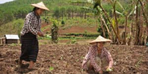 Besøg landsbyen Kalaw, som er en lille bjergby i Myanmar