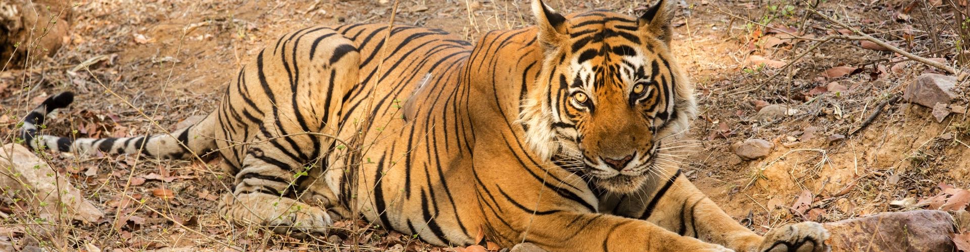 Indiens nationalparker