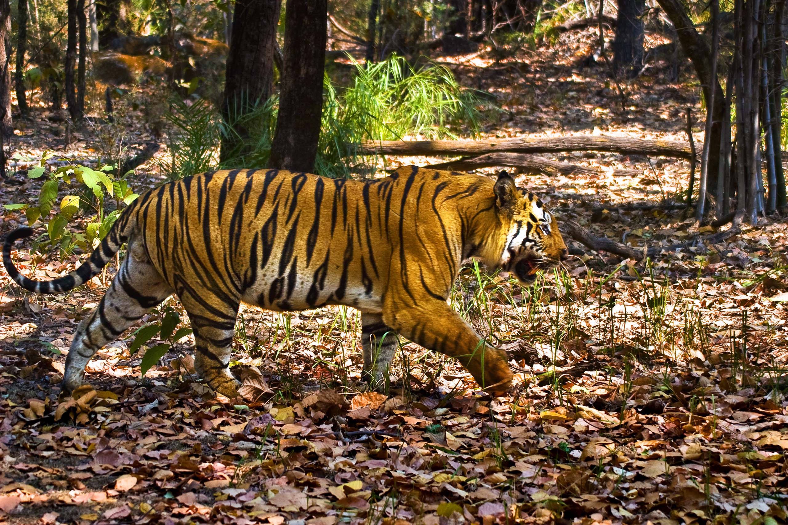 Rejs til Berlin med børn