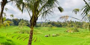 Asiens klima kan være både varmt og koldt
