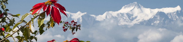 Der er mange smukke naturoplevelser i vente ved Everest National Park