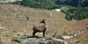 Oplev den smukke natur Everest Base Camp