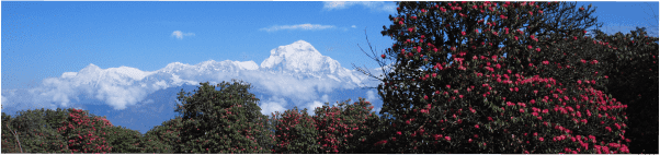 Udsigt fra Poon Hill ved Annapurna