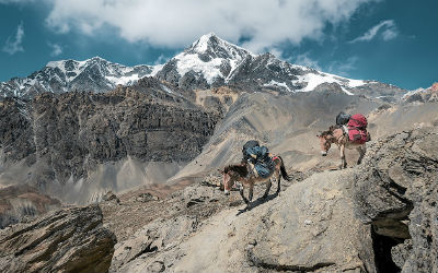 Pakæsler på bjergbestigning i Nepal