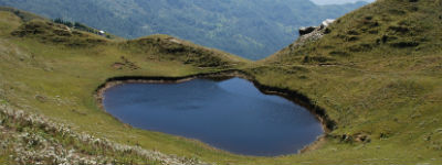 Du kan tage på safari i Chitwan Nationalpark