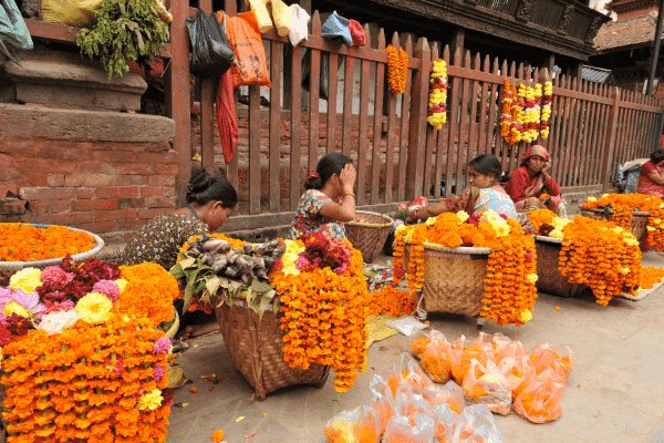 Besøg Bandipur på din rundrejse til Nepal