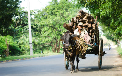 Anuradhapura er en antik by, som du vil opleve, når du rejser til Sri Lanka
