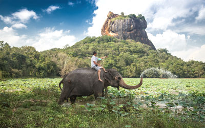 På din rejse til Sri Lanka er det at must at besøge løveklippen Sigiriya
