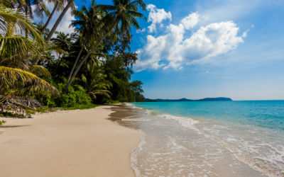 Når du skal slappe af på din rejse til Sri Lanka, så tag til Unawatuna