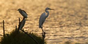 Du kan rejse til Sri Lanka hele året rundt grundet det varme vejr