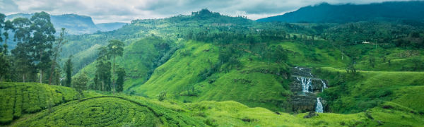 Tag på trekking i Sri Lankas smukke natur