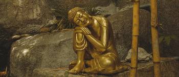 På din rundrejse til Sri Lanka kan du se verdens højeste stupa