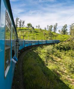 Tag på rundrejse i Sri Lanka