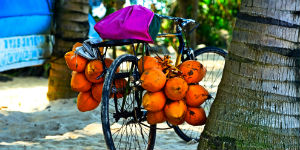 Du kan cykle til strandene på Sri Lanka