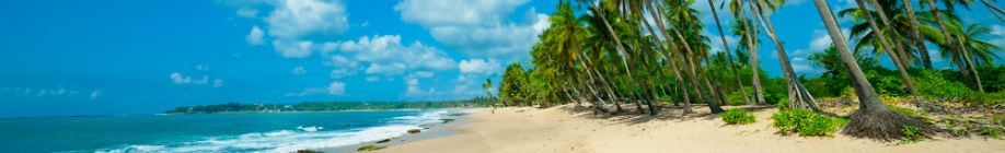 Rejs til Sri Lanka og slap af på en smuk bounty strand