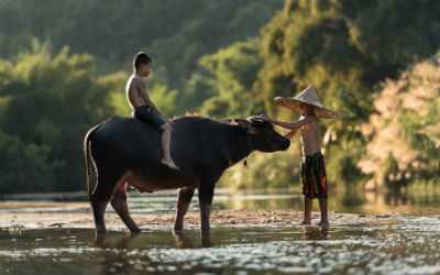 Rejser til Sapa i Vietnam