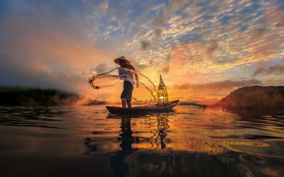 Rejser til Mekong deltaet i Vietnam