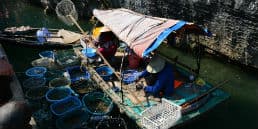 Se hvordan vietnameserne handler fra båd til båd på Ha Long Bugten