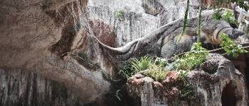 Der er mange nationalparker i Vietnam