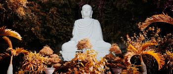 Se de mange smukke templer i Vietnam