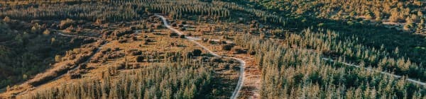 Oplev udsigten fra Mont Blanc Tramway