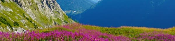 Vandring om Mont Blanc