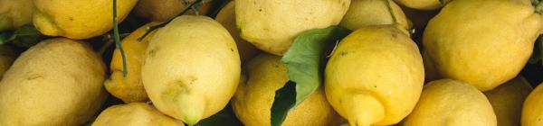 Oplev et madmarked i Bologna, når du rejser til Italilen