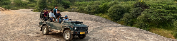 Læbebjørn i Indien