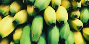 Der er mange bananplantager i Costa Rica