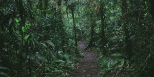 La Fortuna regnskov er en attraktiv seværdighed når rejsen går til Costa Rica