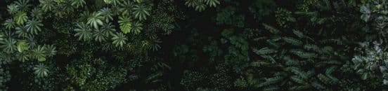 Monteverde set oppe fra