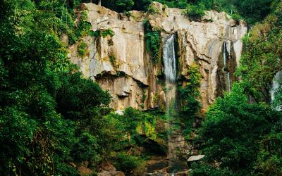 Rejs til Mellemamerika og oplev Costa Rica