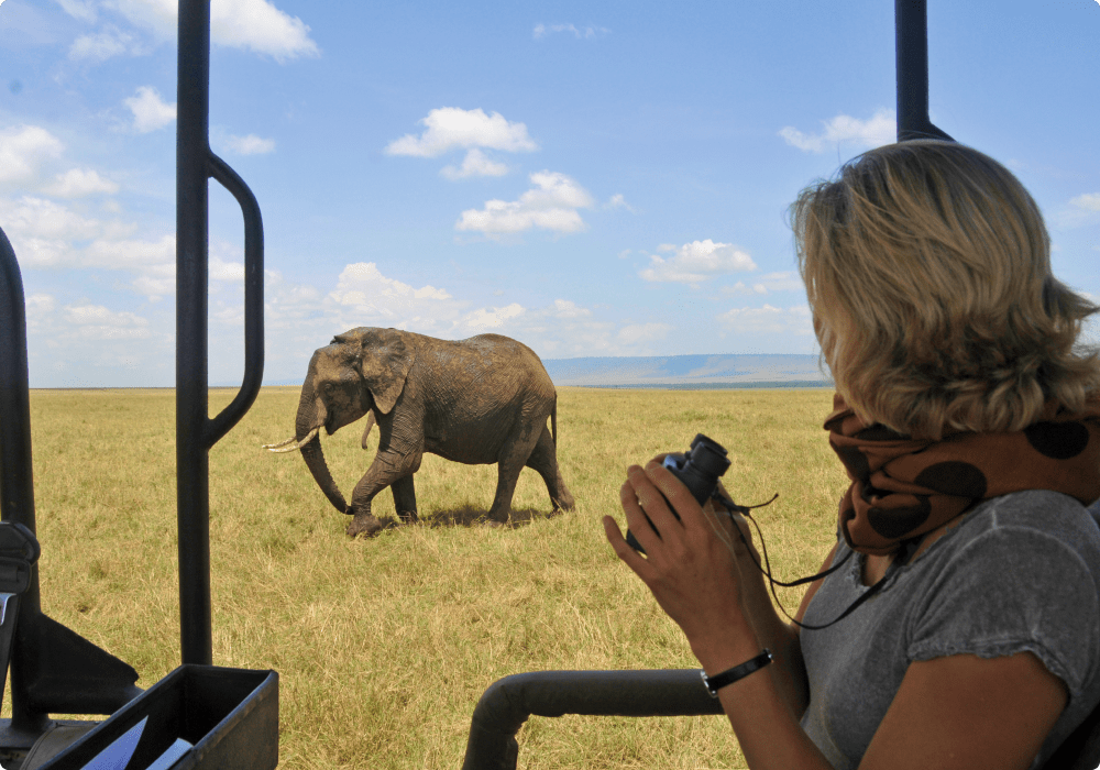 Dame ser elefant fra Jeep på safari