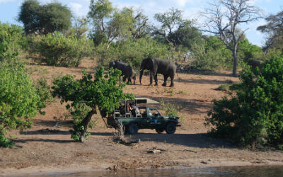 Botswana har bestemte visum regler, som du skal følg, når du rejser til landet