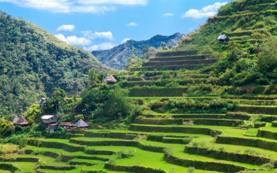 Du skal huske at søge om visum, hvis du skal rejse i Vietnam