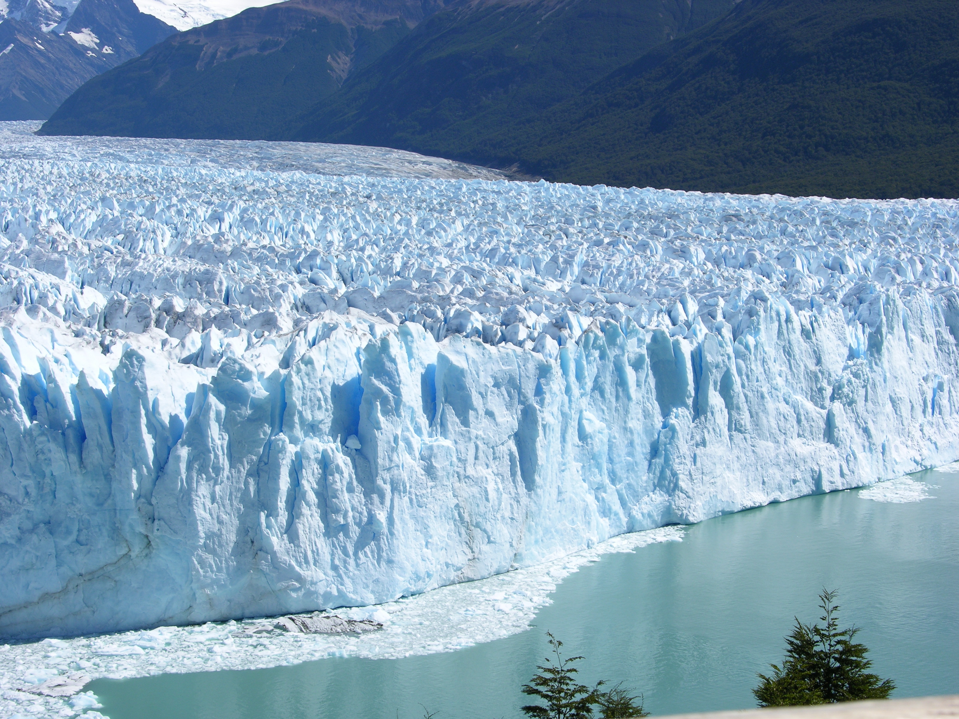 El Calafate gletsjeren i Patagonien