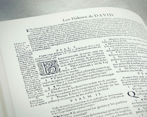 I Argentina taler man Spansk