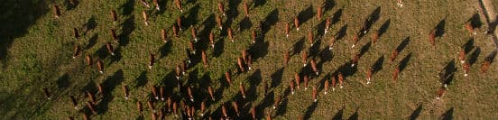 Besøg Estancia Nibepo Aike med Kipling Travel på din Argentina rejse