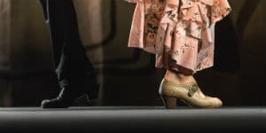 Rejser til Argentina tager dig til tangoens hjemland