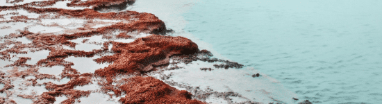 Besøg El Tatio-gejserne på din Chile rejse