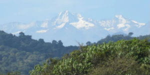 Du kan opholde dig 90 dage i Colombia uden visum