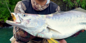 Du kan også tage på fiske rejse til Colombia