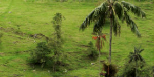 Natur rejser til Colombia er meget populære 